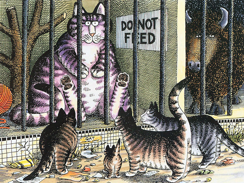 Выпустив в 1975 году книгу с рисунками полосатых котов, карикатурист Бернар...