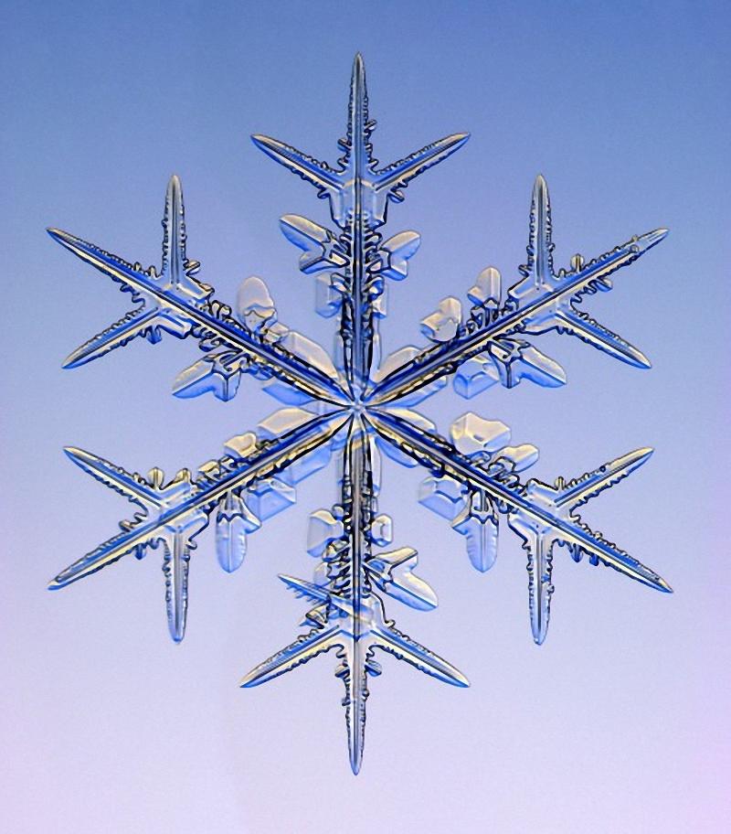 Фотографии снежинок под микроскопом.