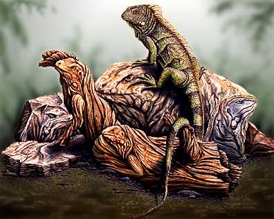 Рисунок с загадкой: 7 игуан