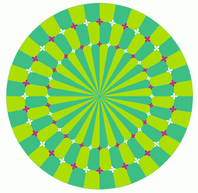 Иллюзия движения: если смотреть точно в центр рисунка и начать двигать головой вперед-назад, то окружности на рисунке превратятся в движущиеся спирали